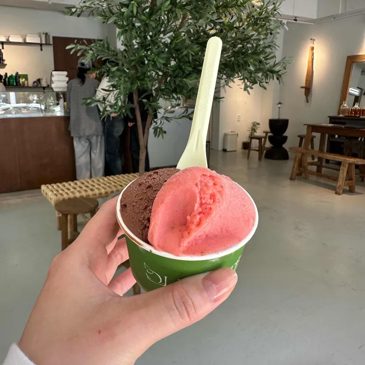 올리비아떼 사진
