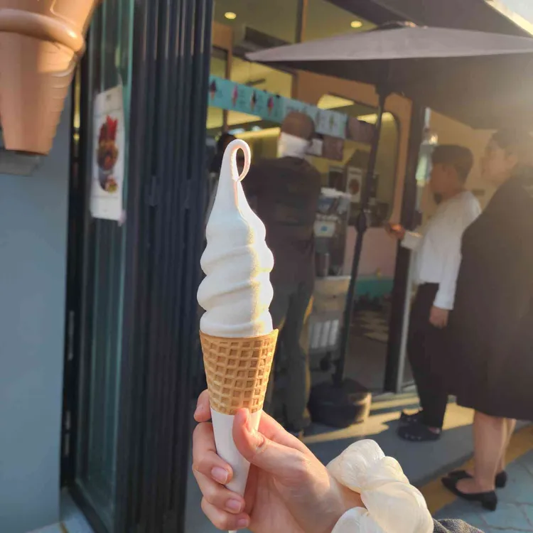 미오 사진