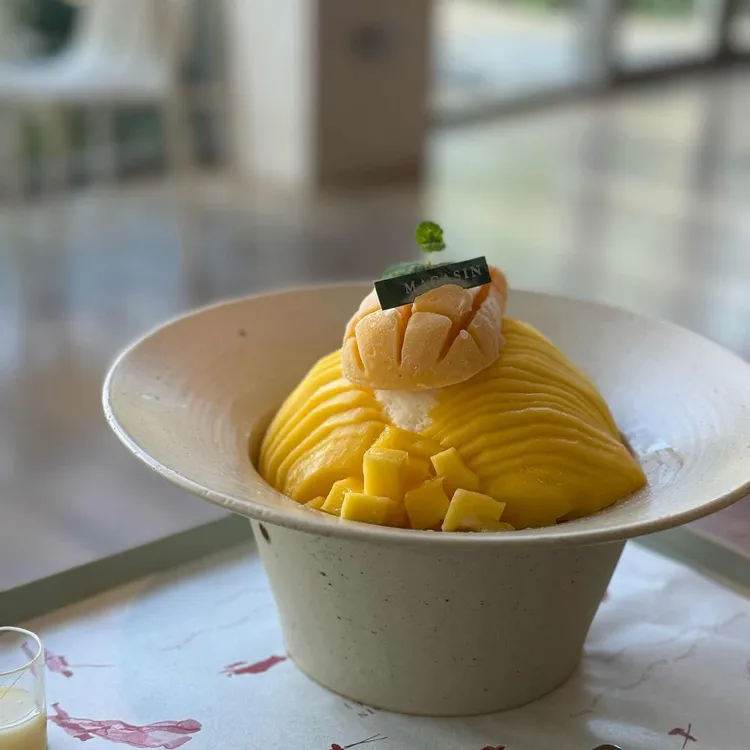 마가진 사진