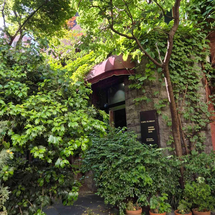 플로리안 사진