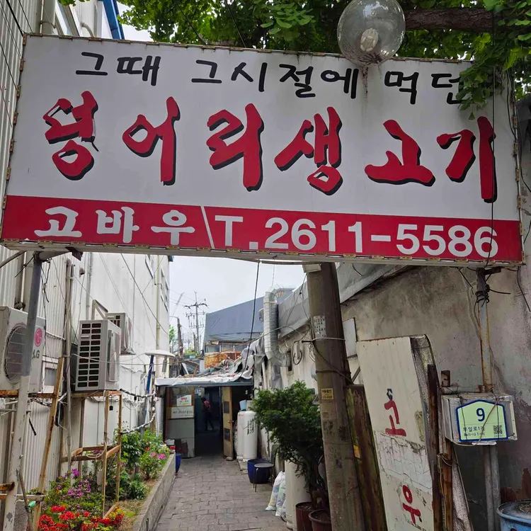 고바우 사진