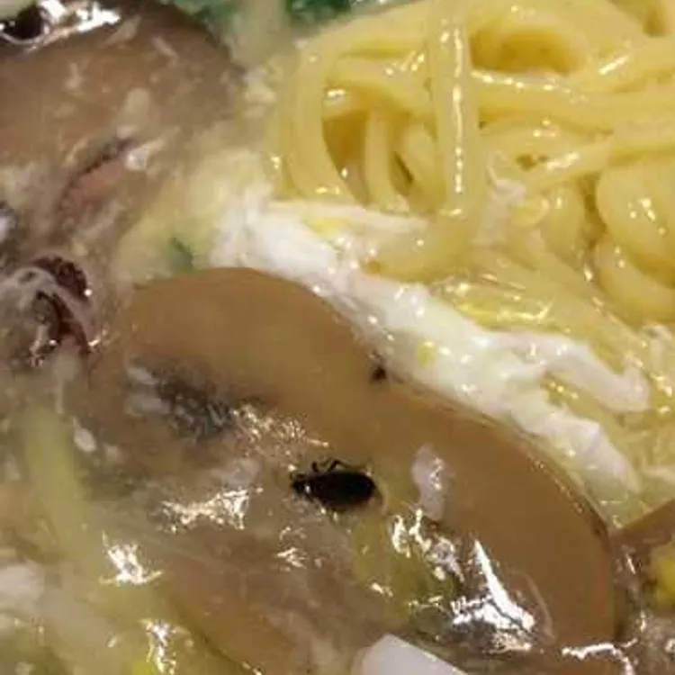 선궁 대표 사진