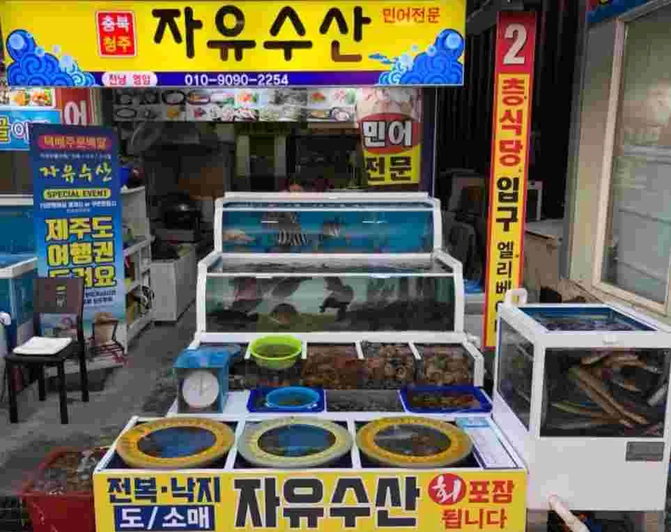 대표 사진 1